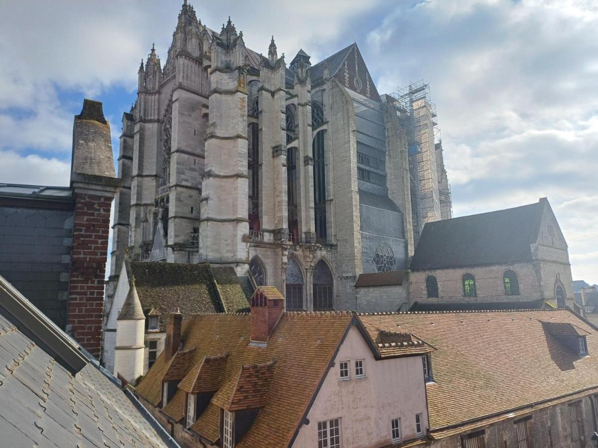 Le Muséum - Confortable avec Vue sur la Cathédrale - B&B