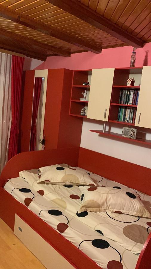 Apartament Floare de Colț - B&B Buşteni