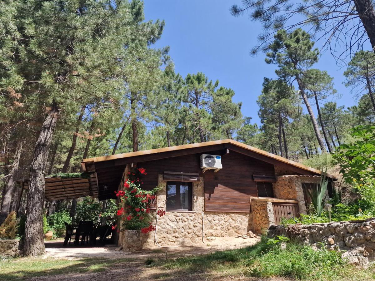 Cabaña en plena naturaleza Parque Natural Río mundo - B&B Riópar