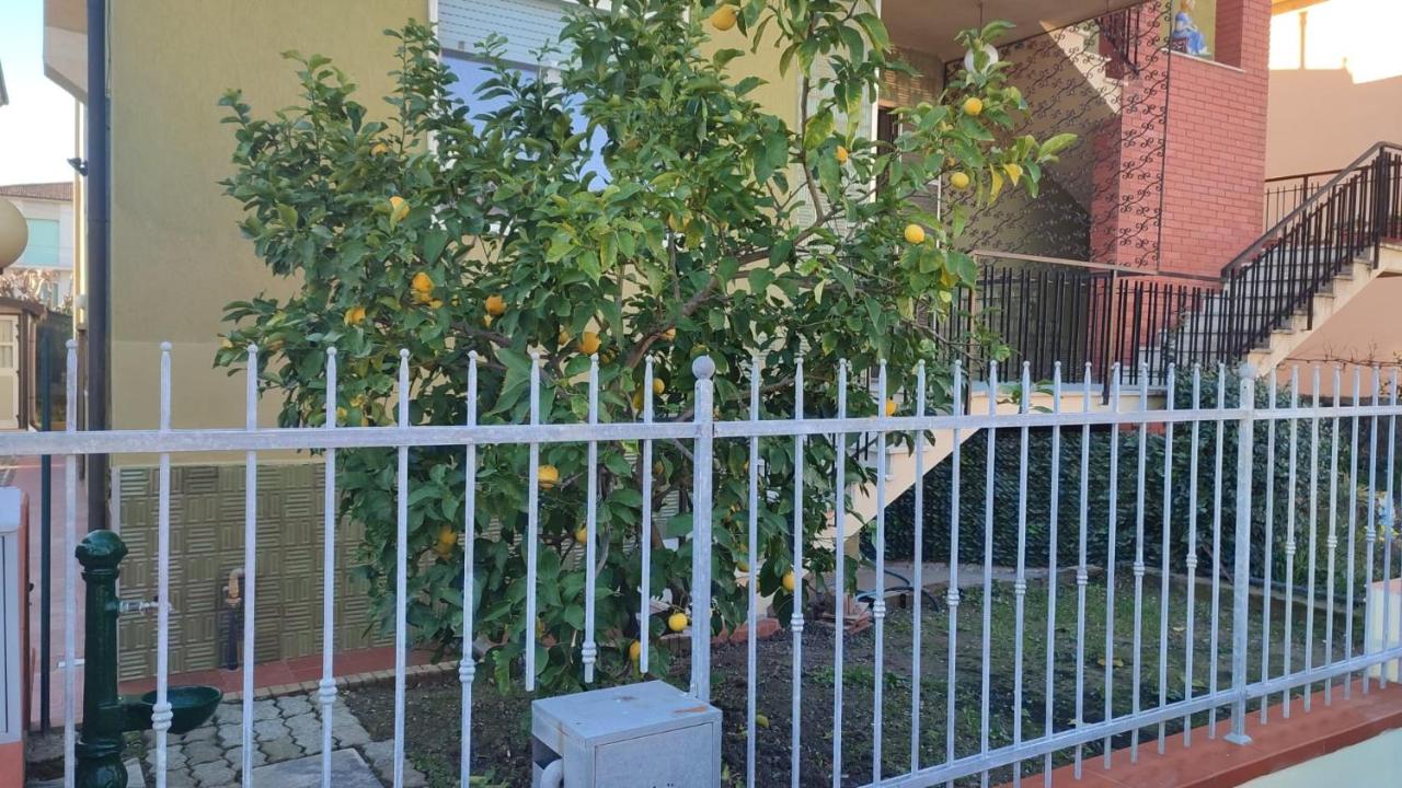 Appartamento La Verdina Pisa CNR - B&B