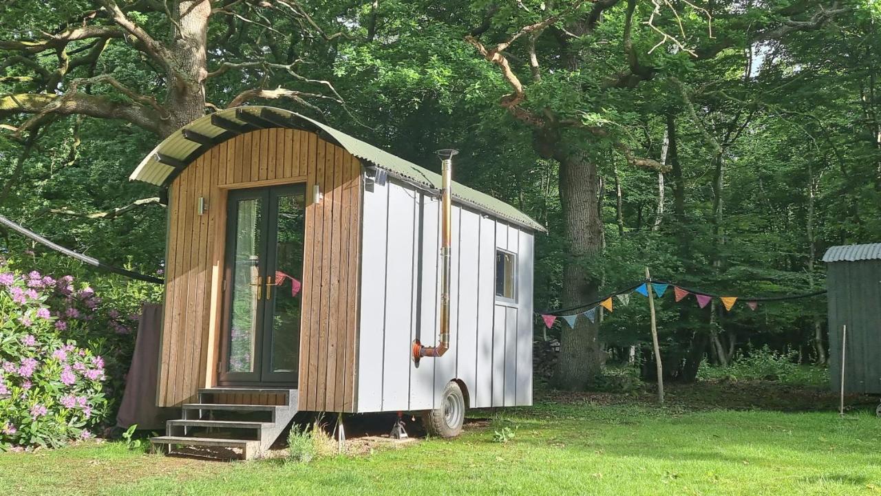 Wyldewood Retreat - Luxury Glamping with Wild Spa - B&B