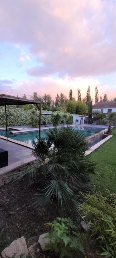 Le Mas des Mirabelles - B&B Cabannes