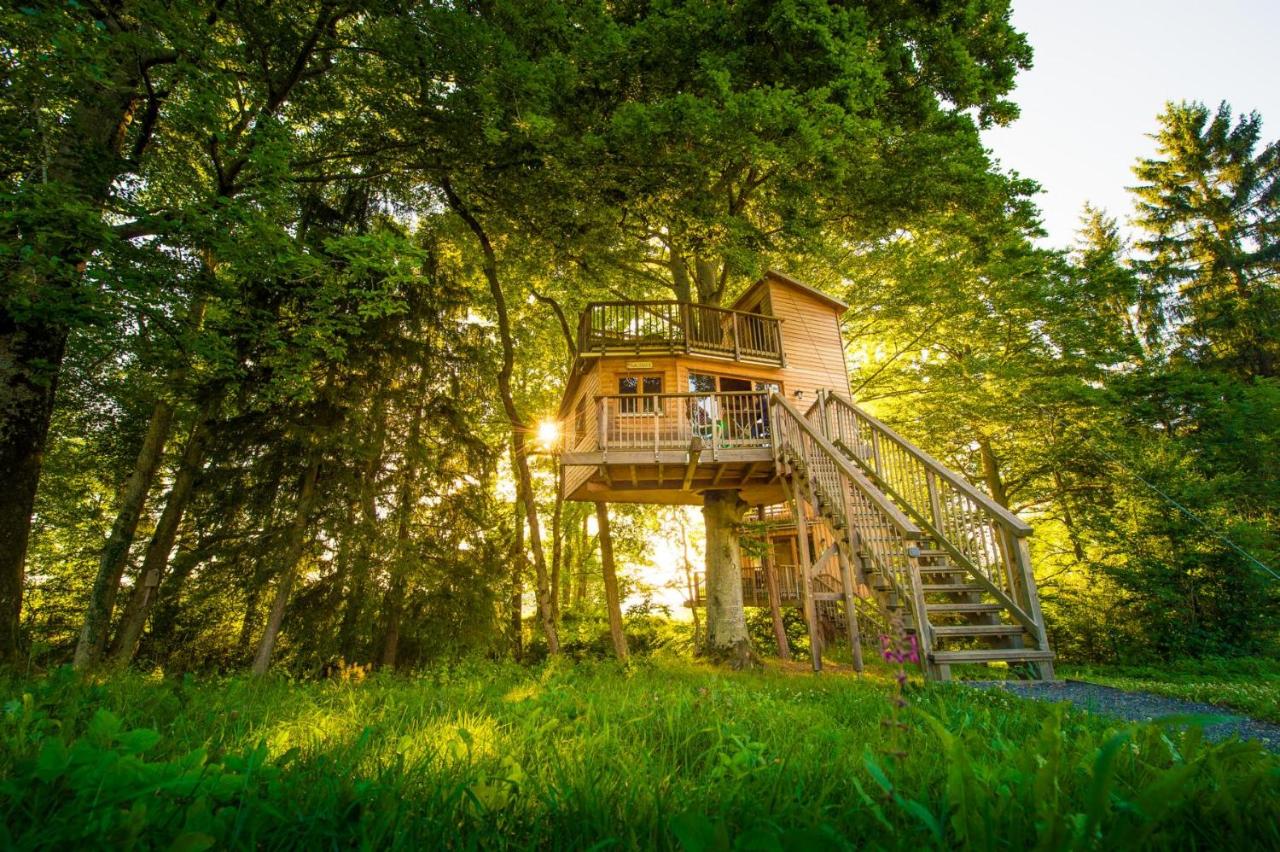 Two-Bedroom Treehouse Zeitraum
