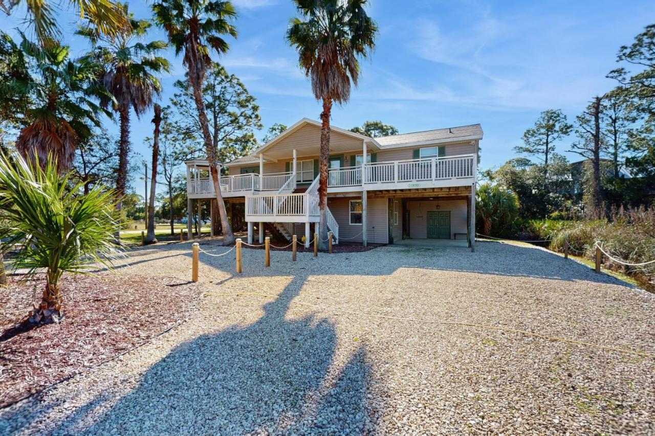 1 Tiny Turtle - B&B Saint George Island