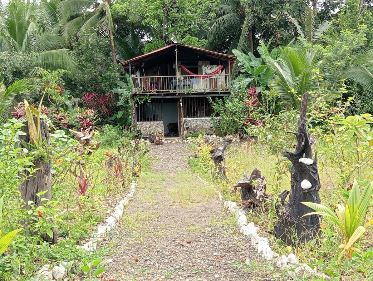 casa guayaba lodge - B&B