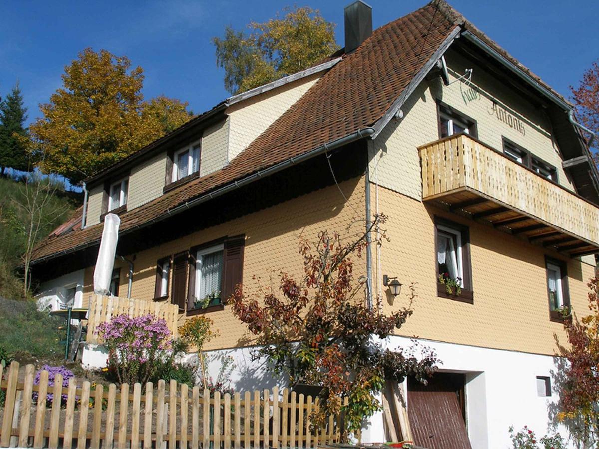 B&B Triberg - Haus Antonis - Bed and Breakfast Triberg