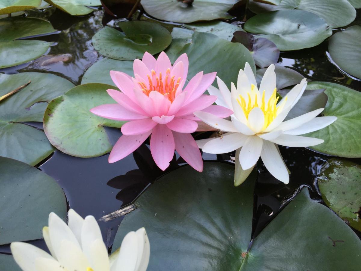 Apartment mit 2 Schlafzimmern und Balkon