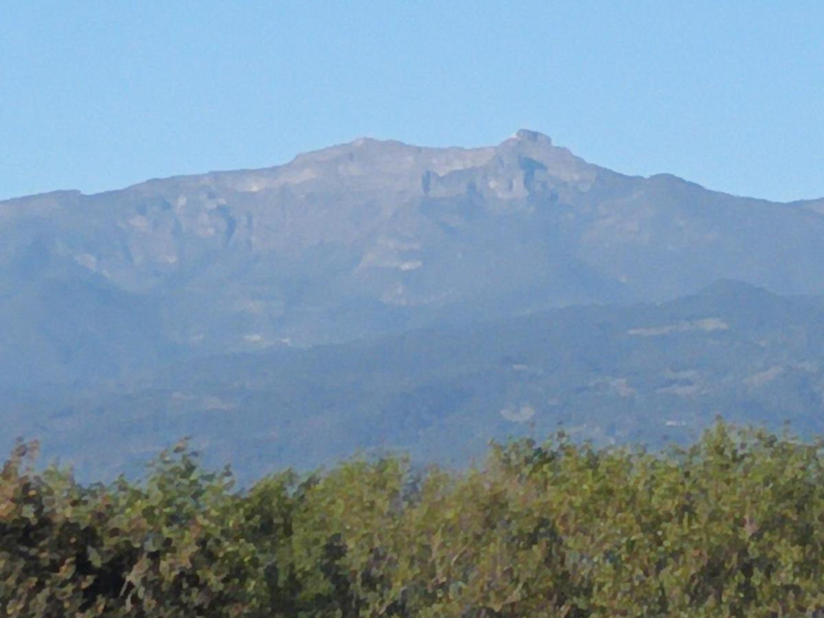 Family Room with Mountain View