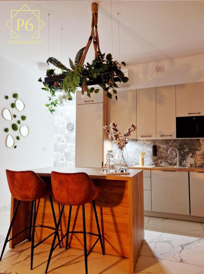 P6 Retro Nest Apartament