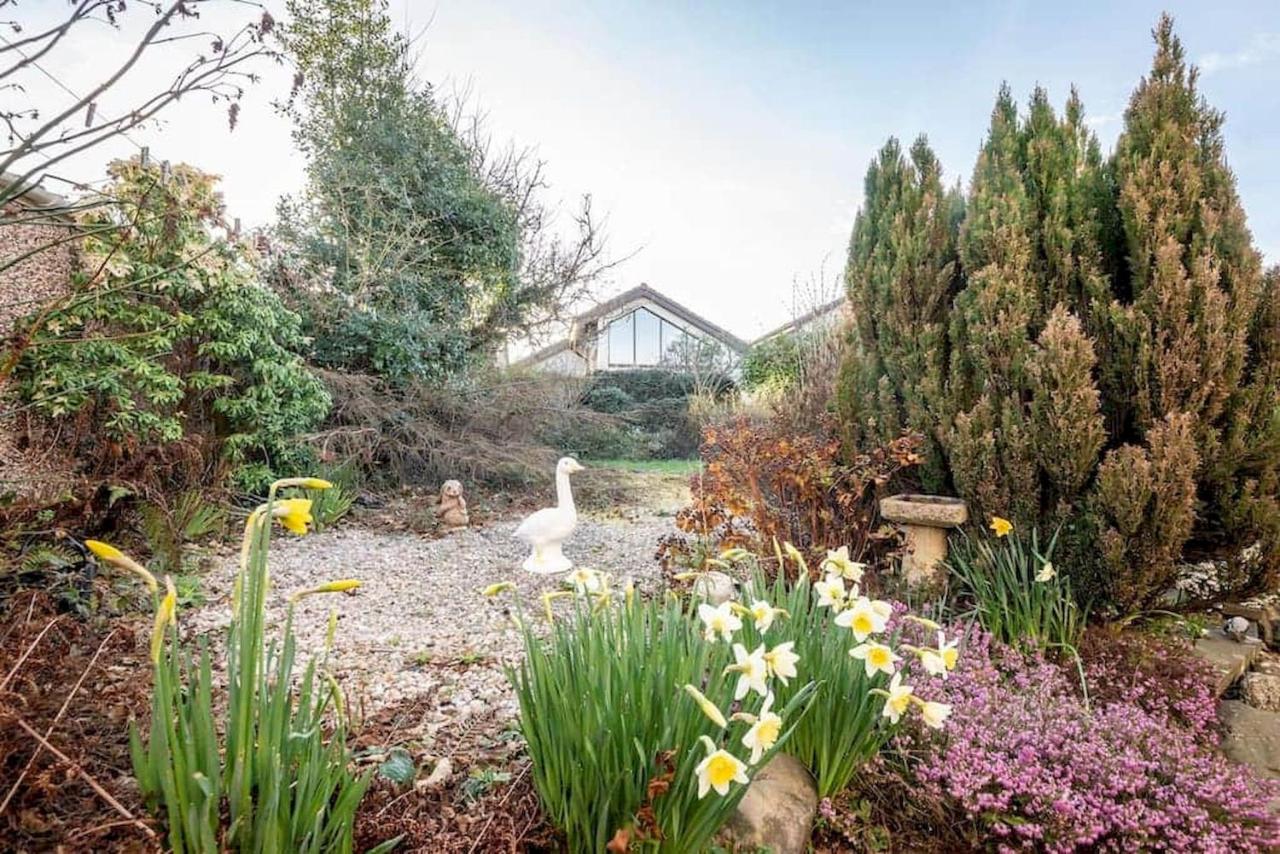 Radernie Place - No 23 - B&B
