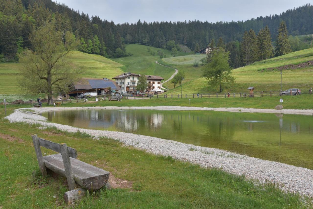 Appartamenti Agritur Mas da la Val - Ferienwohnung Ronzone