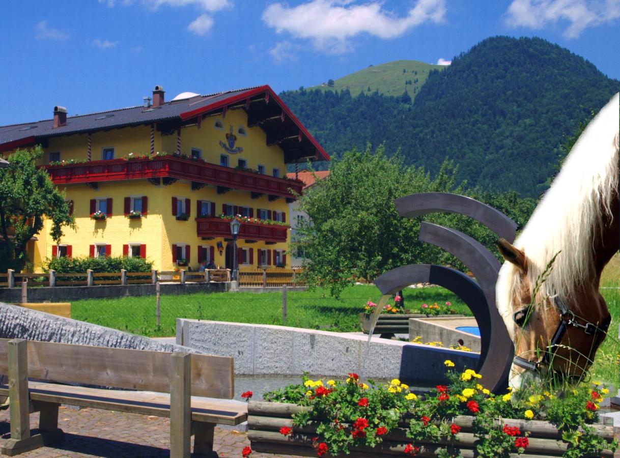 Reitanlage Dagnhof - Ferienwohnung Walchsee