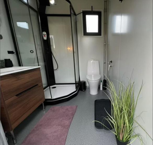 Lofoten glampingdome - Ferienwohnung