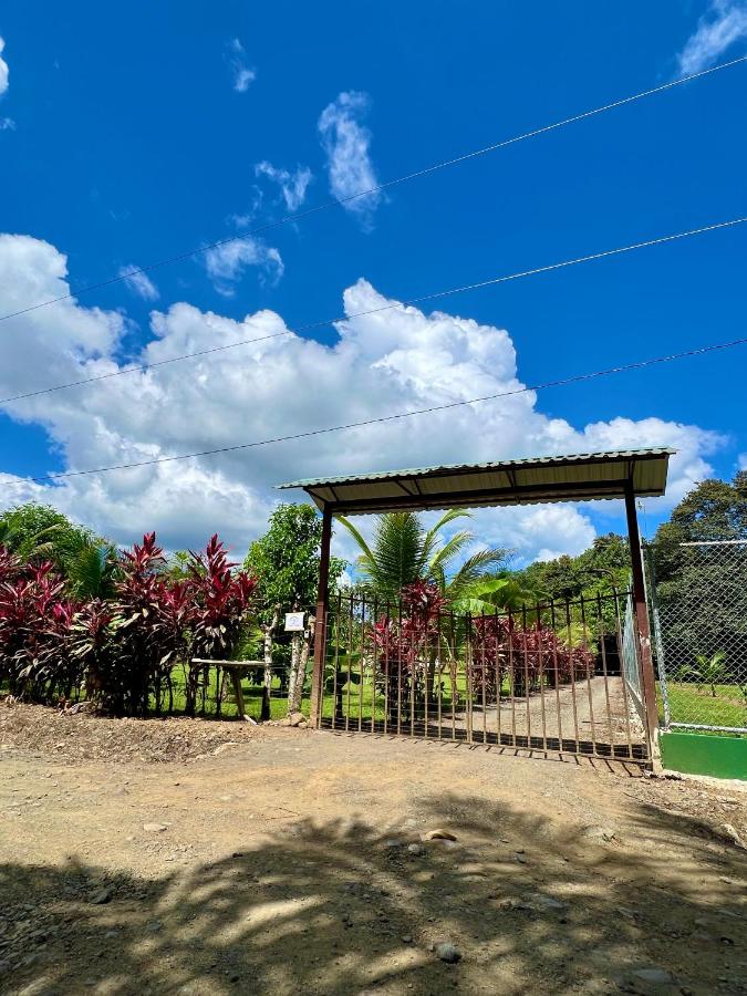 Casa Tropical Ceiba - B&B Puerto Jiménez
