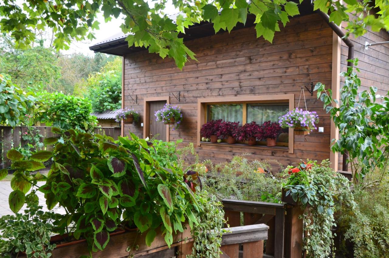 Sacharewo - B&B