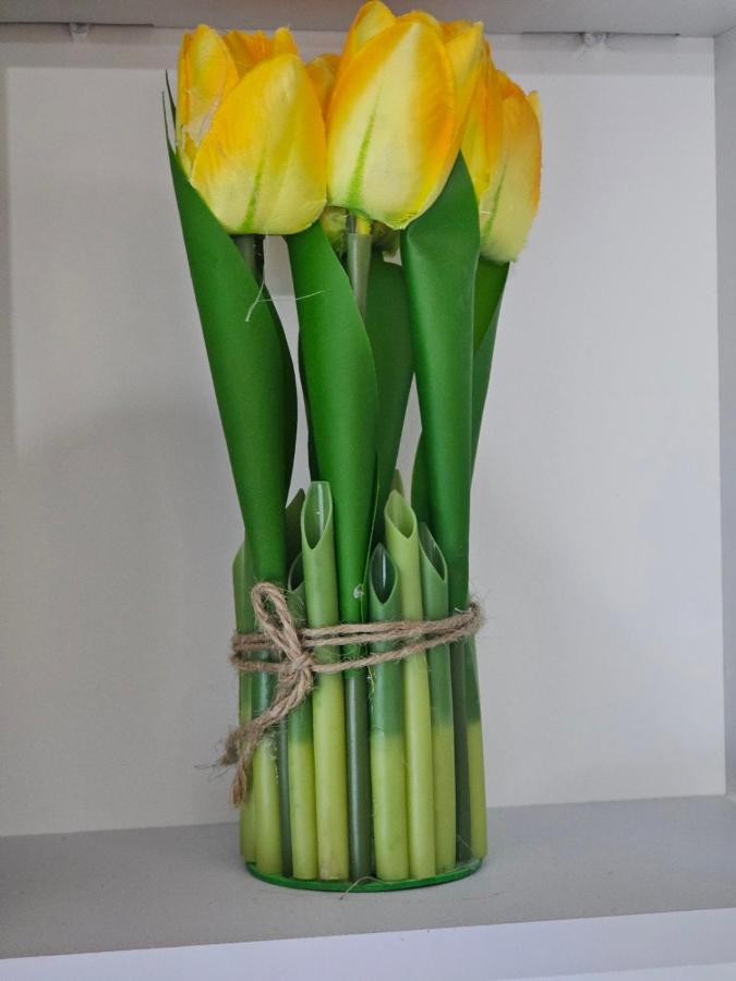 Two - B&B Kragujevac