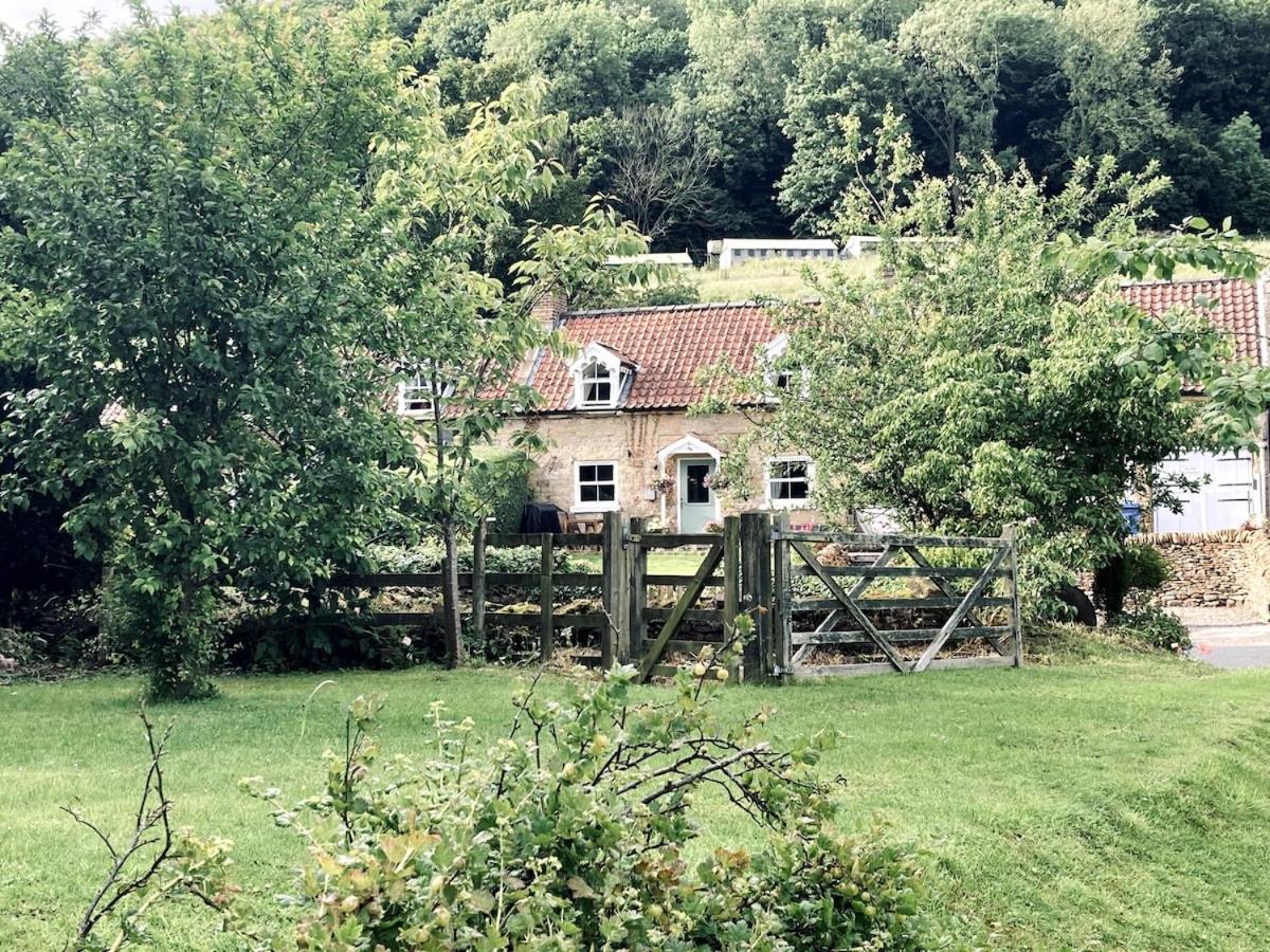 Robins Cottage cosy home hot tub quiet village - Chambres d’hôtes Hackness