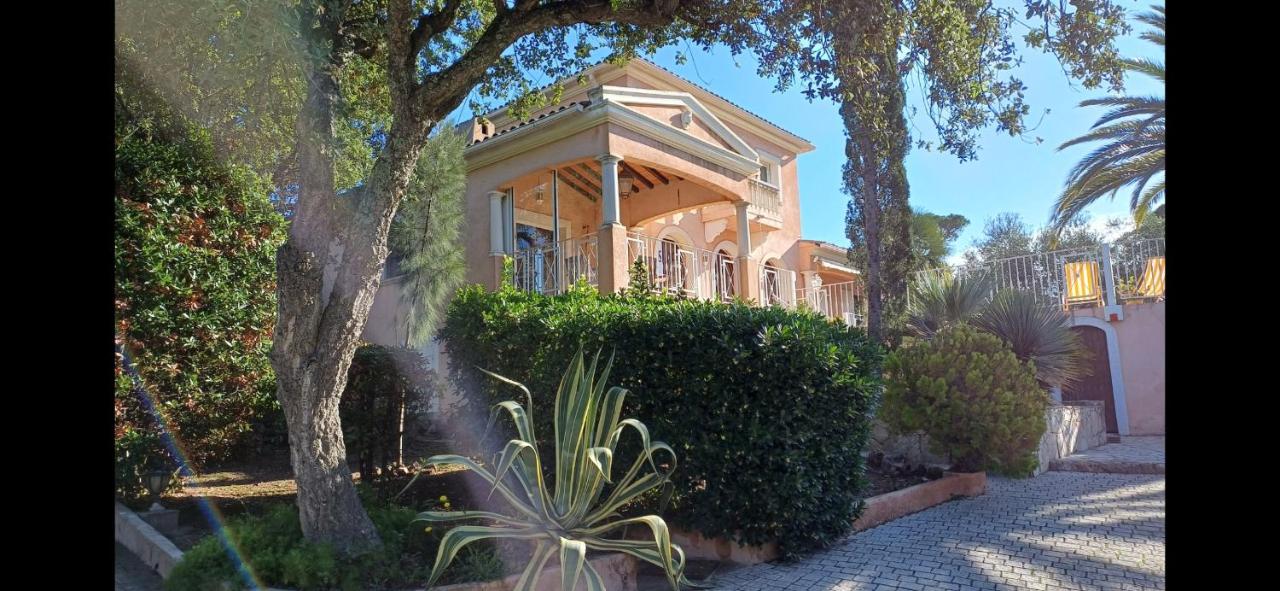 Villa- Saint-Raphaël - B&B