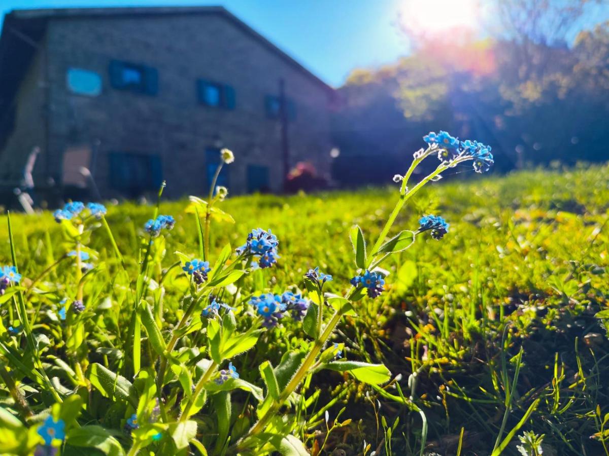 casa al taverni - Chambres d’hôtes Falciano