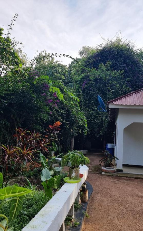 Botanic Hideaway Home, 5km from Mwanza airport - Bed and Breakfast Mwanza