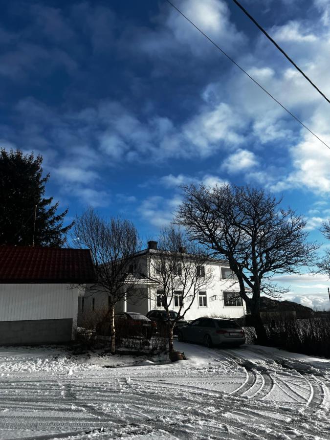 Koselig leilighet med unik utsikt - B&B