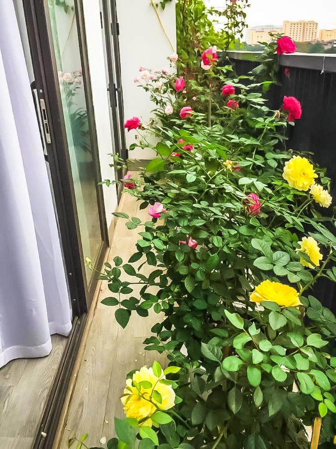 Studio mit Gartenblick