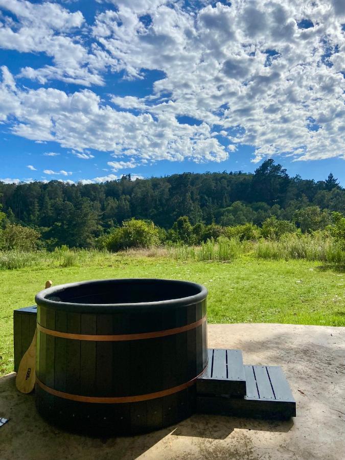 Soul Forest cabin Nature retreat with hot tub - Chambres d'hôtes Sedgefield
