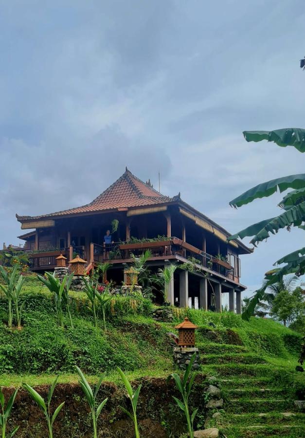 Rumah Pacung - B&B