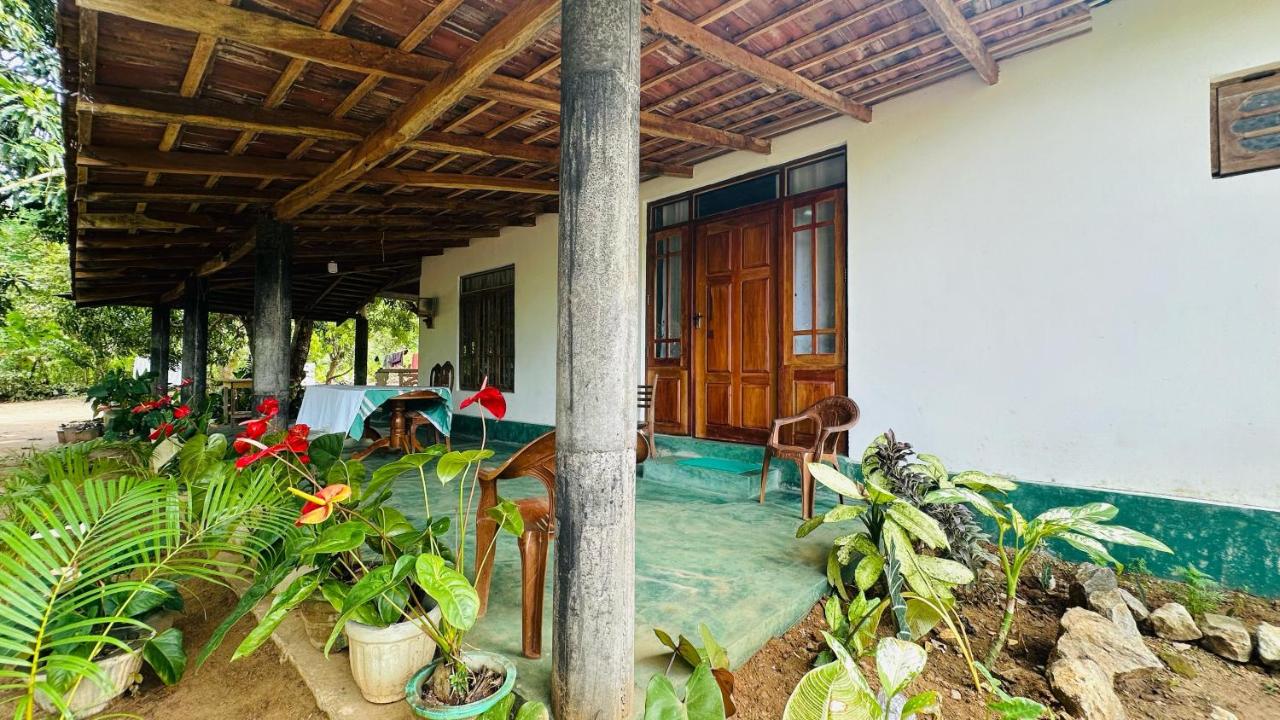 Sigiriya Paradise Treehouse - B&B