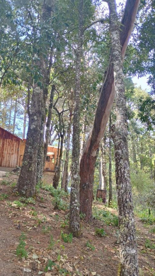 Roca de Guía - B&B