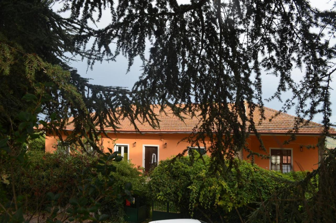 PortoCielo Yoga e Mare - B&B Nulvi