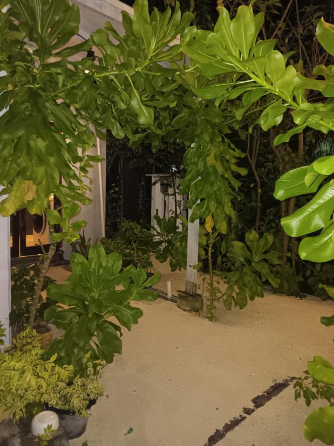 Rasdhoo Madi - B&B
