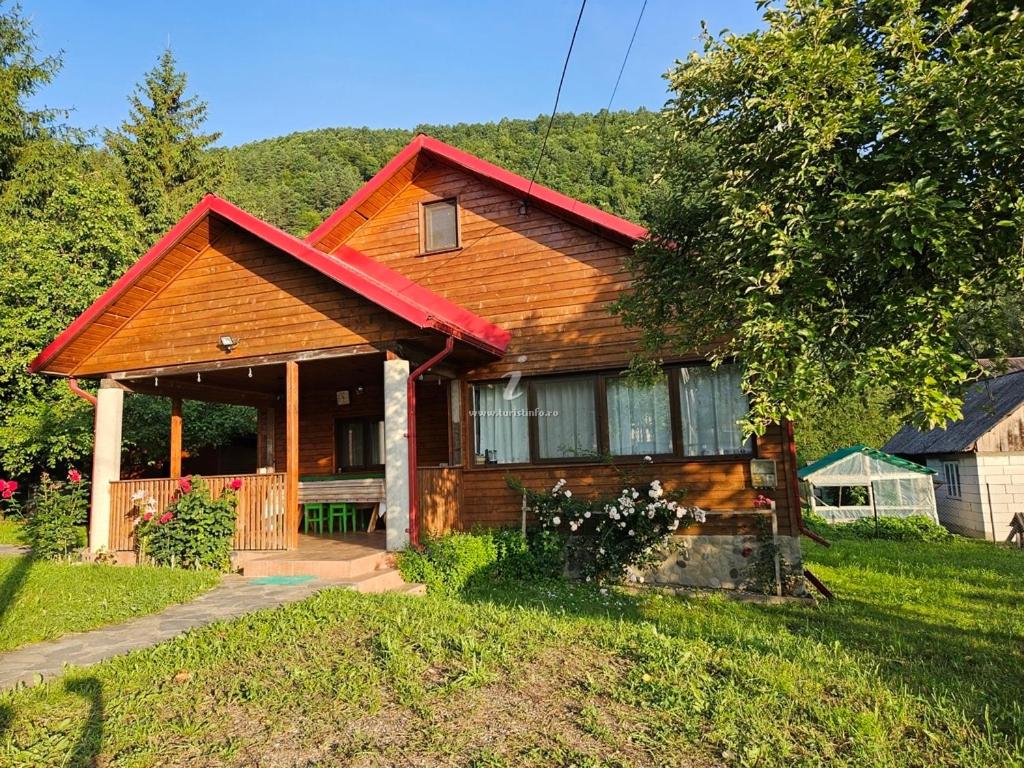 Sura de pe Codrisor - B&B Leordina