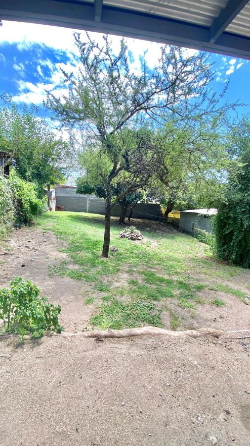 Los pinos - B&B