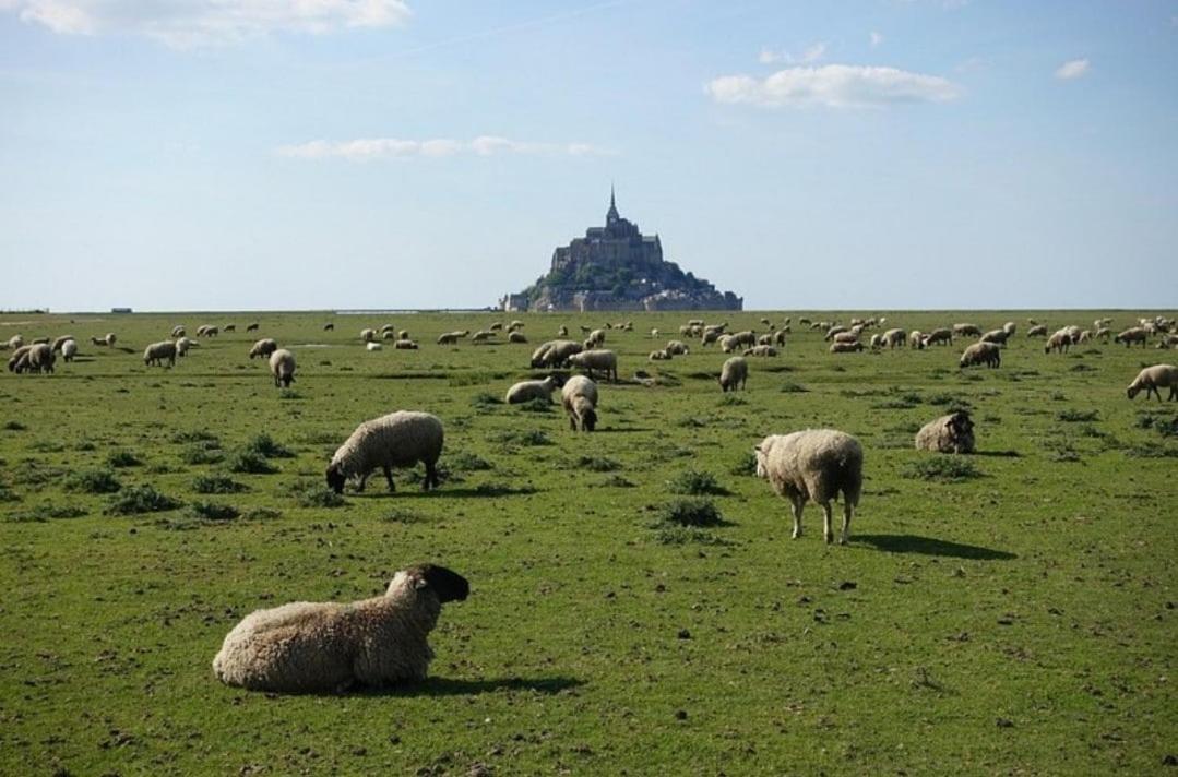 Au Mont De La Rive #Jaccuzi et Mont-Saint-Michel # - Chambres d’hôtes Pontorson