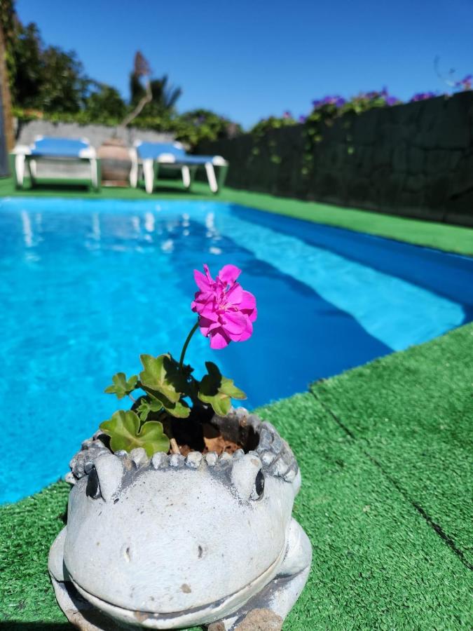 Villa VISTA AL MAR DEL NORTE - B&B Arucas