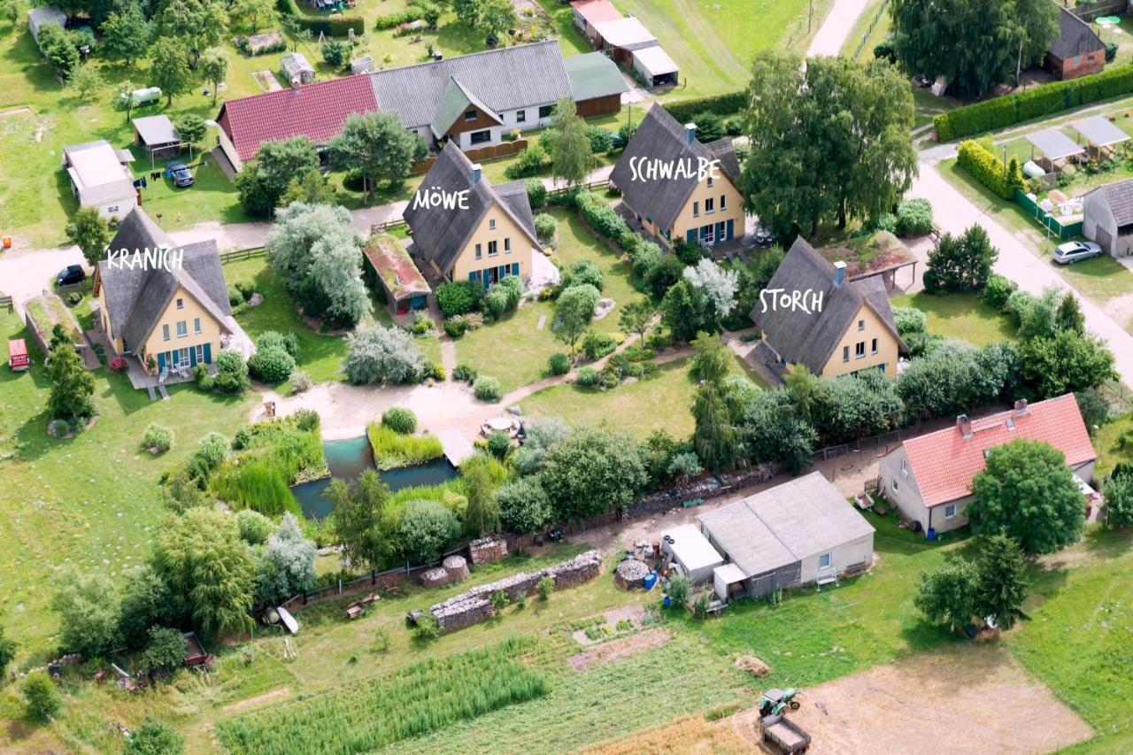Reetdachhaus mit Schwimmteich in Krienke - B&B