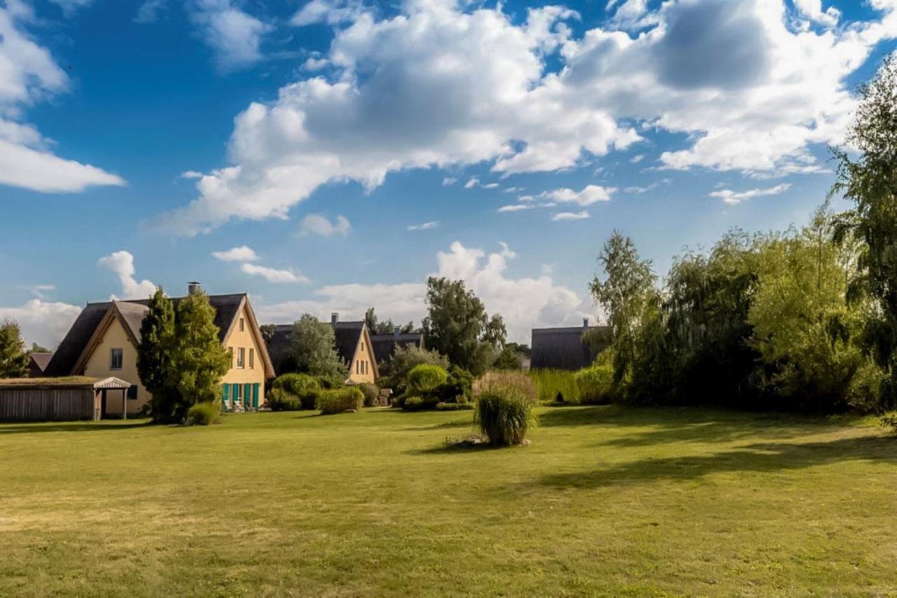 Reetdachhaus Storch mit Swimmteich, Kamin und Sauna