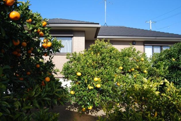 Minoaku Orange Garden - Vacation STAY 18601 - Ferienwohnung