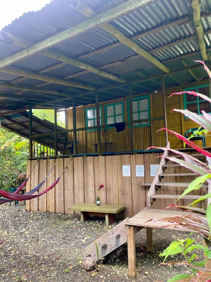 Habitación Compartida Mixta - 4 camas