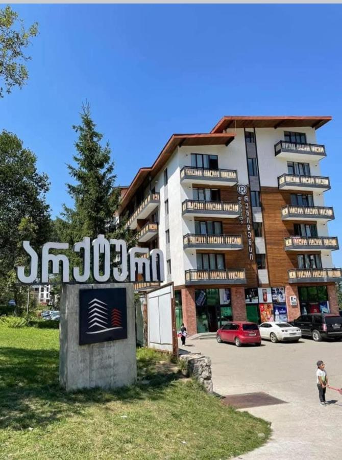 Didveli rezidens - Ferienwohnung Bak’uriani