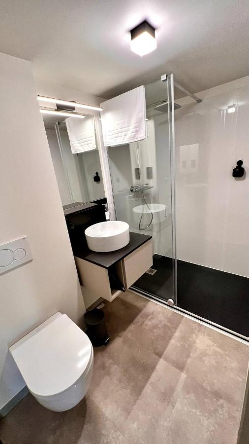 Deluxe One-Bedroom Apartment with City View