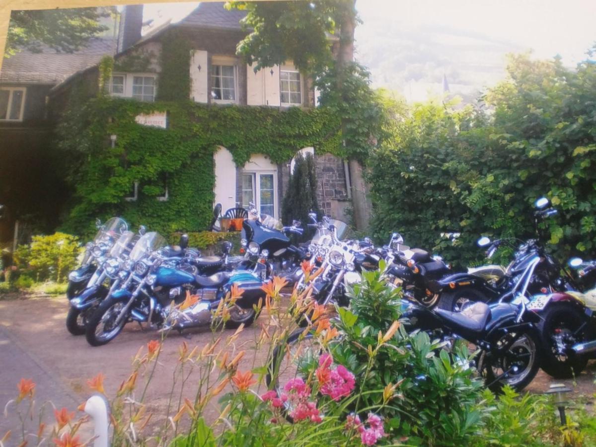 Pension Johanna - Chambres d’hôtes Assmannshausen