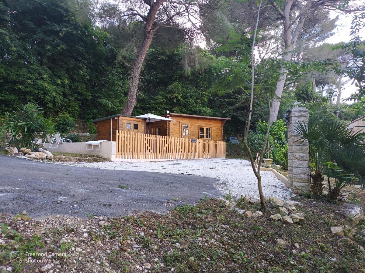 Grand Chalet at Villa Don Quijote Nice - B&B