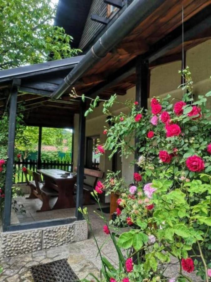 Silva Cabin Bran next to Dracula's Castle with free parking - B&B Bran