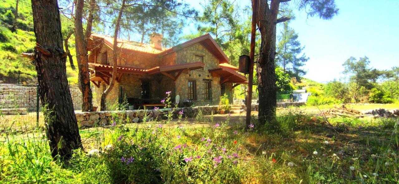 Cottage Aegean Holiday Villa - B&B Bayırköy