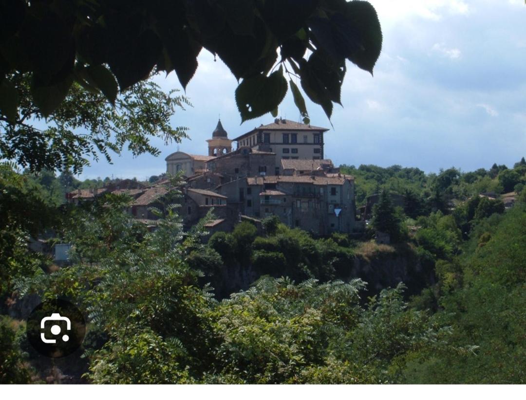 Casa bolsena - B&B Gradoli