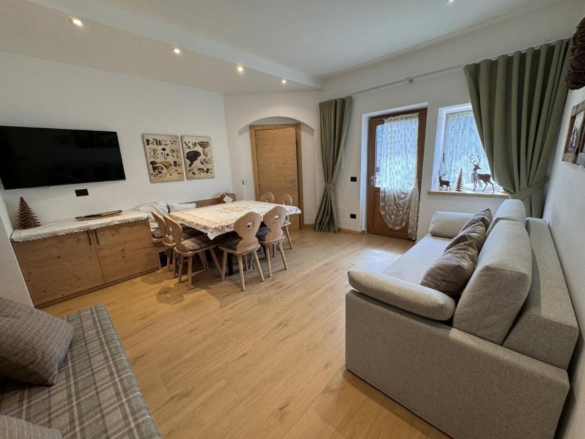 Appartamento Continental - 8 posti letto - B&B San Vito di Cadore