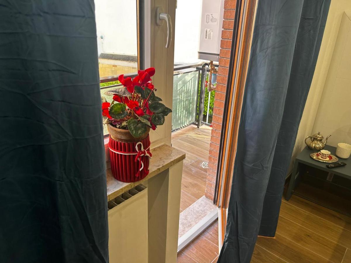 Domus Pio VIII - B&B Roma