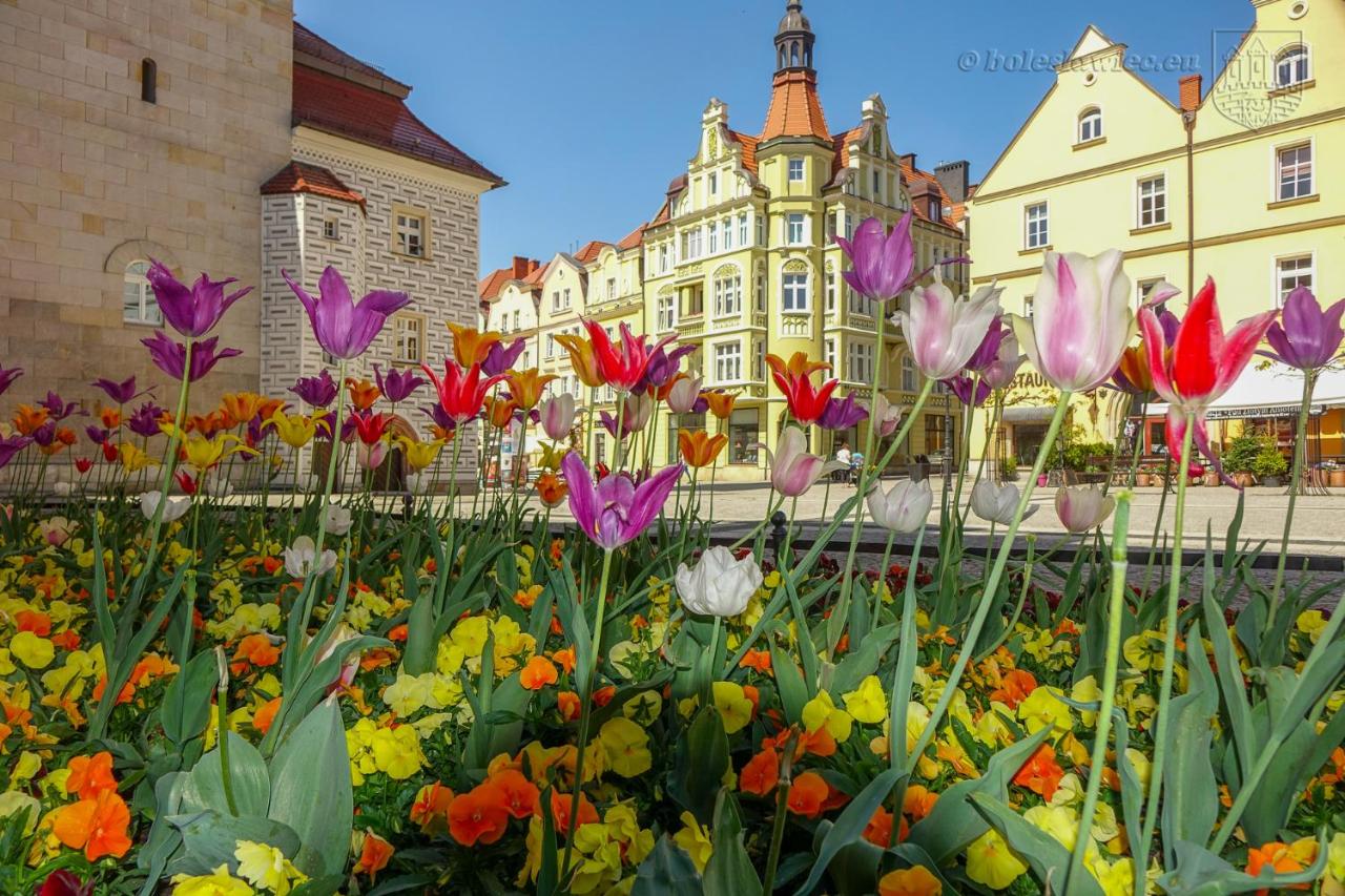 Apartament Przy Starówce - Hampton - Ferienwohnung